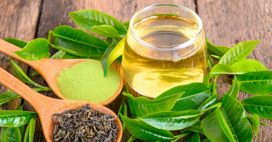 Green Tea Leaves Benefits vs Side Effects: What Should You Actually Believe?