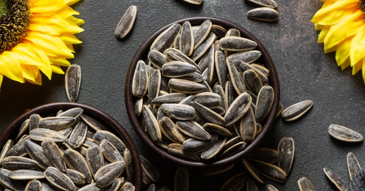 What Is the Best Way to Store Sunflower Seeds to Keep Them Fresh Longer