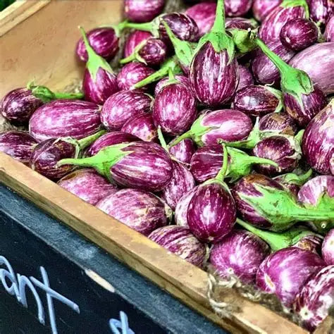 Fruitco Baby Eggplant Round Box 6Kilo