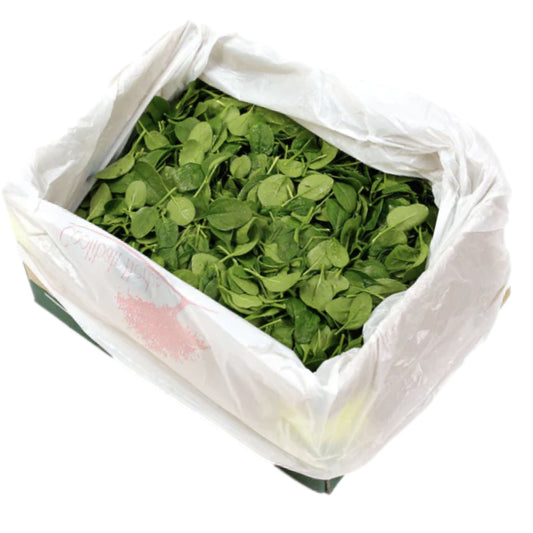 Fruitco Baby Spinach Box 1.5Kilo