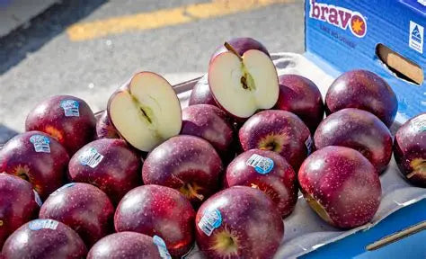 Fruitco Bravo Apple Box 13Kilo