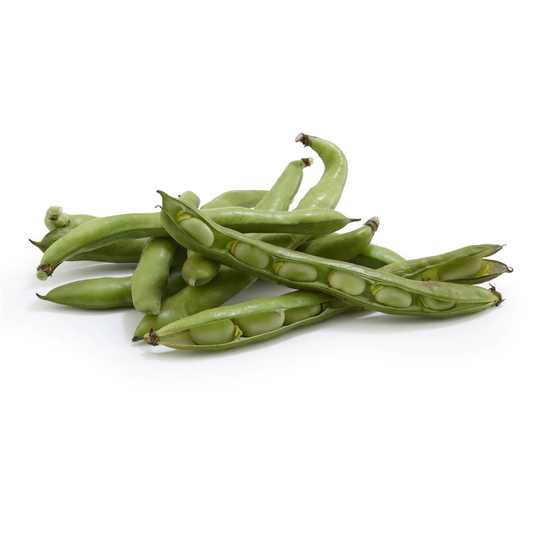 fruitco-broad-beans