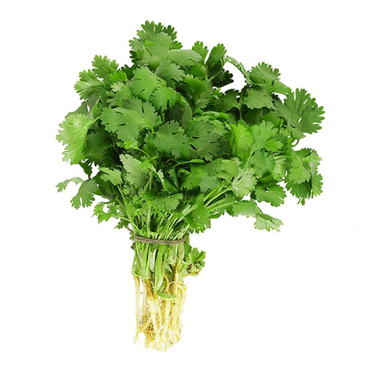 fruitco-corriender-1-bunch