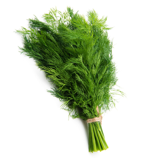fruitco-dill-market-bunch-1-bunch