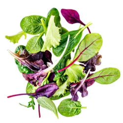 Spinach, Lettuce & Leafy Greens