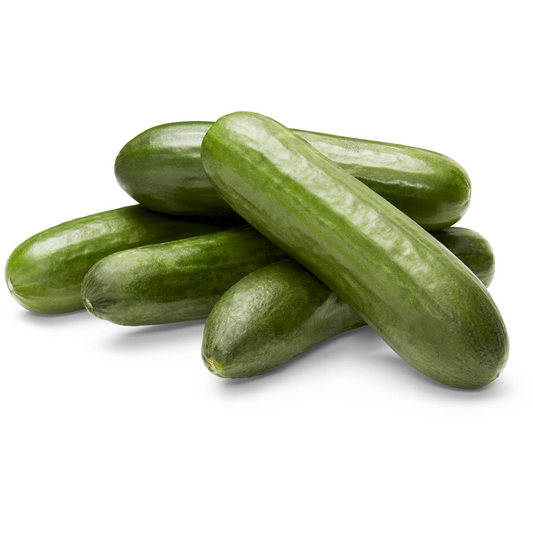 fruitco-lebanese cucumber-1 kilo
