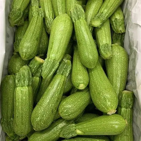 Fruitco Lebanese Zucchini Box 10Kilo