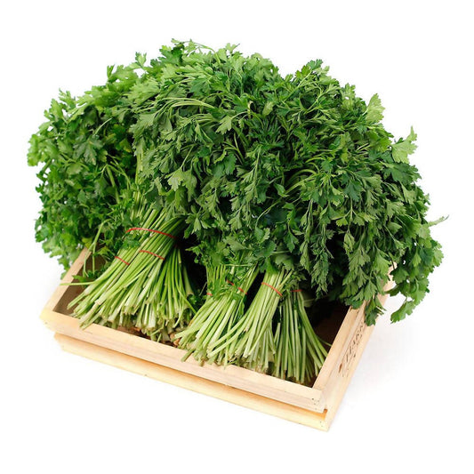 Fruitco Parsley Box 10Dozen