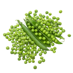 Peas, Beans, Corn & Asparagus