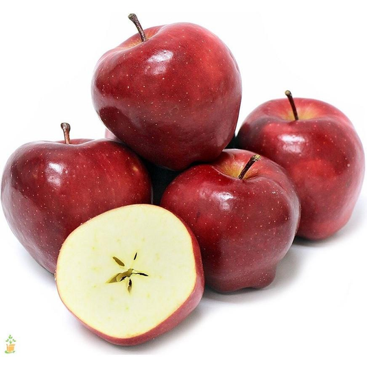 fruitco-red-delicious-apples