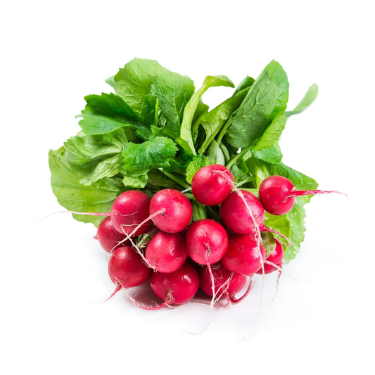 fruitco-red-radish-1-bunch