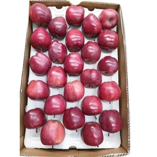 Fruitco Red Delicious Apple Box 13Kilo
