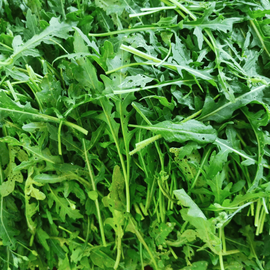 Fruitco Roquette Leaves Box 1.5Kilo