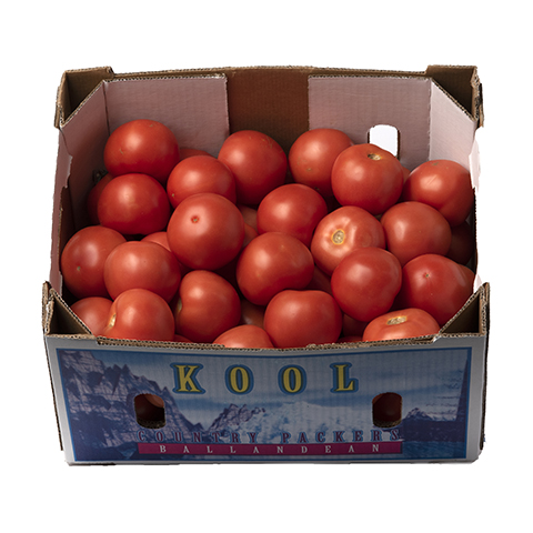 fruitco-tomatoes-box-10kilo