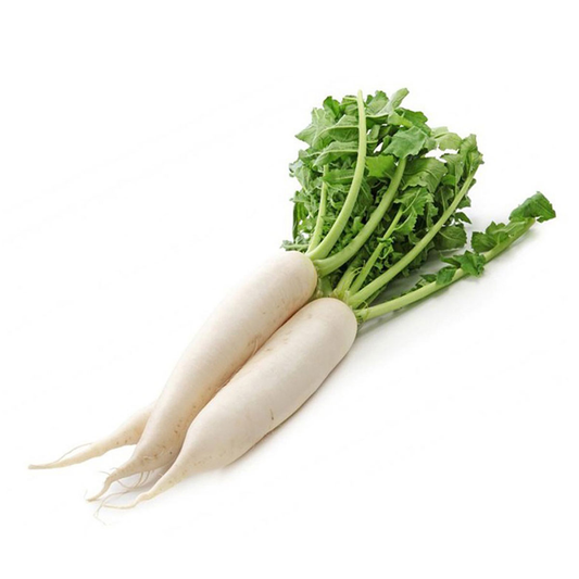 fruitco-white-radish-1-each