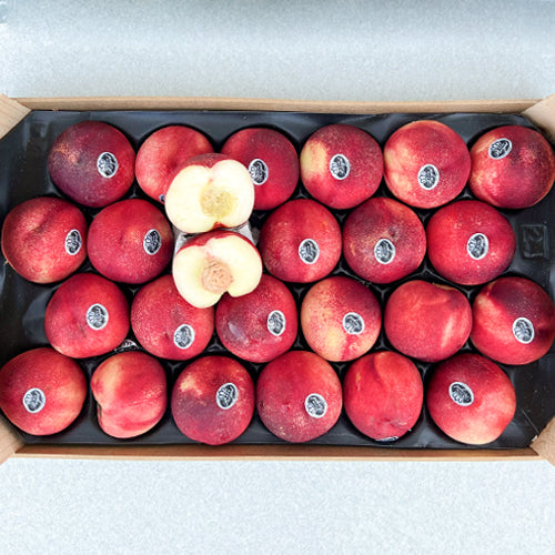 Fruitco White Nectarines Tray 7Kilo