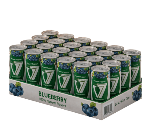 Blueberry V7 - 250ml (Pack of 24)