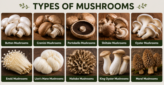 Surprising Types of Mushrooms That Can Transform Your Meals