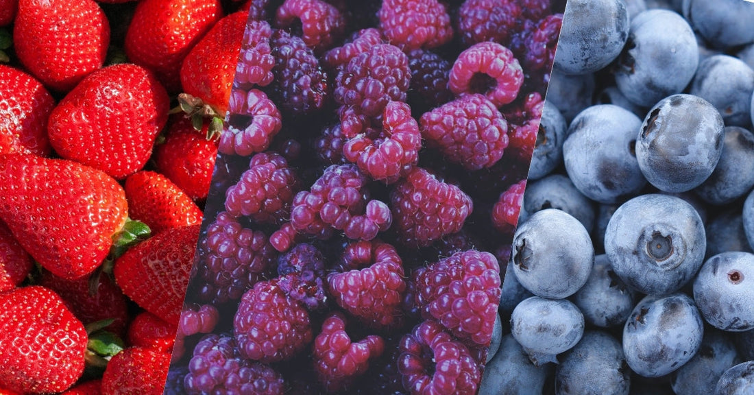 Berry Lover’s Guide: 15 Types of Berries Everyone Should Know About
