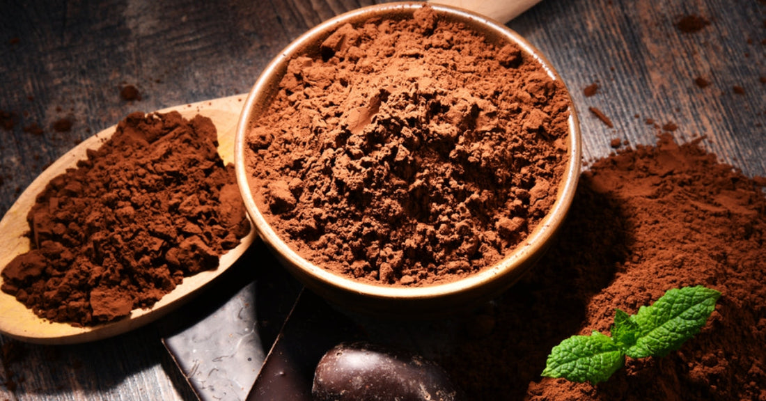 What Is Cocoa Powder and How Is It Different from Chocolate?