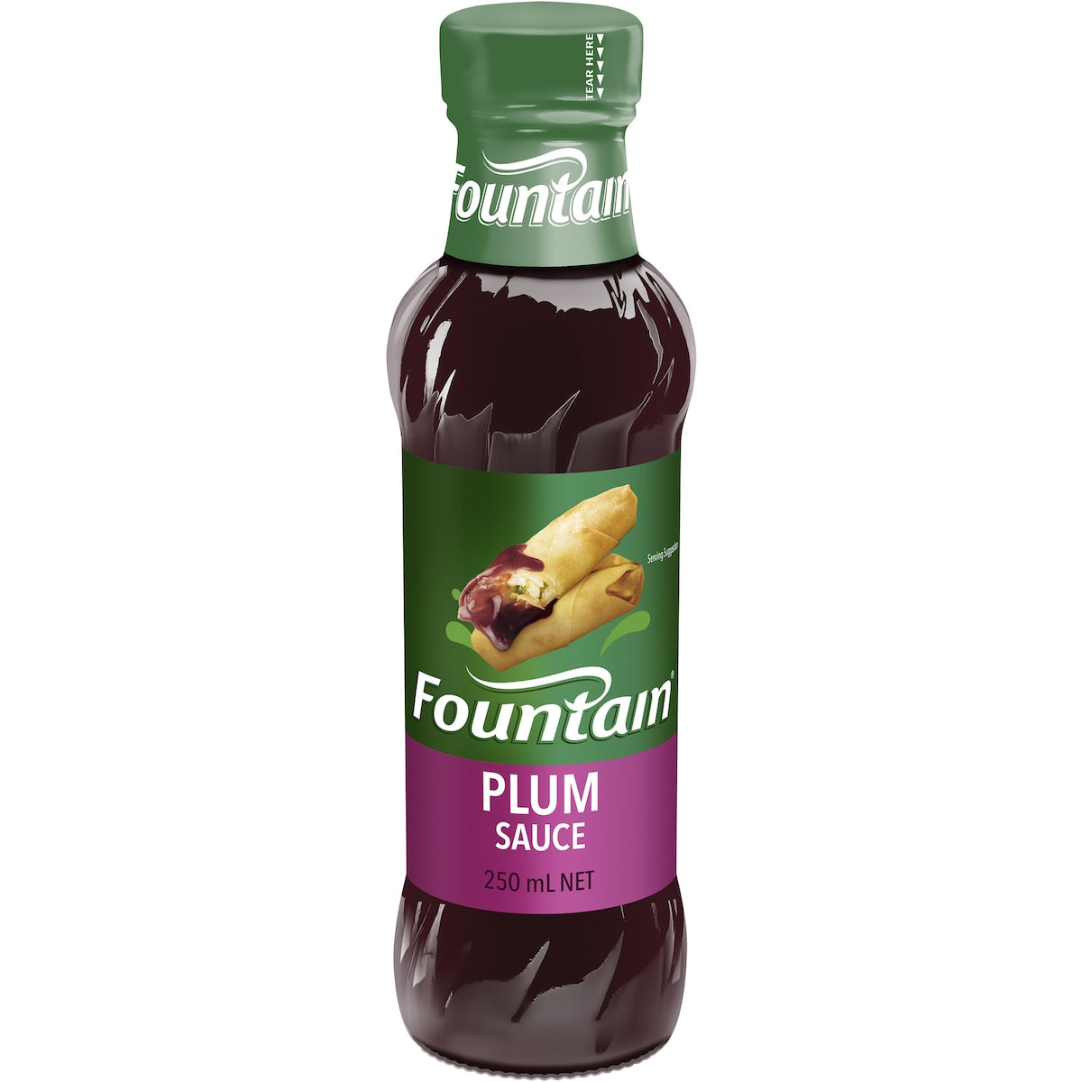 Fruitco Fountain Plum Sauce 250ml