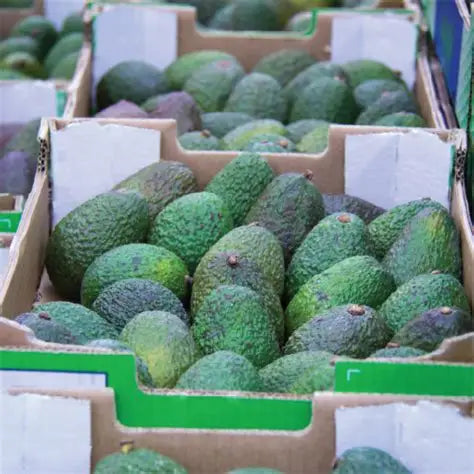 Fruitco Avocados Odd Pick Box 10Kilo