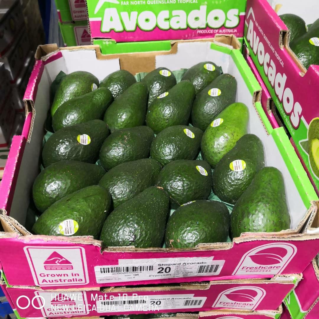 Fruitco Avocados Tray 7Kilo