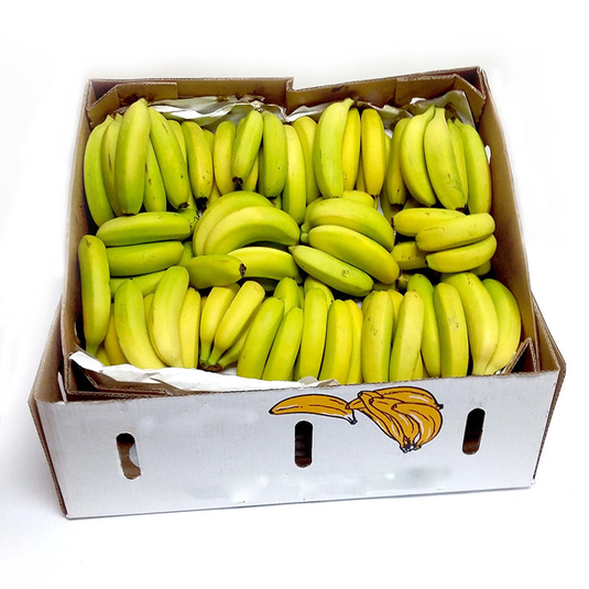 fruitco-banana-box-15kilo