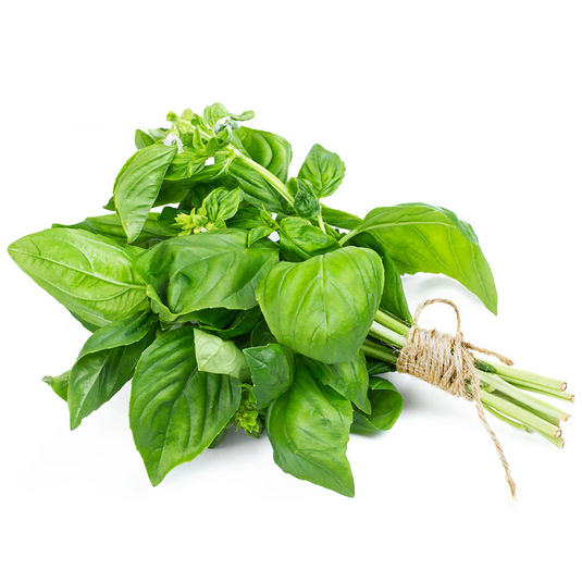 fruitco-basil-1-bunch