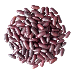 Beans, Legumes & Grains