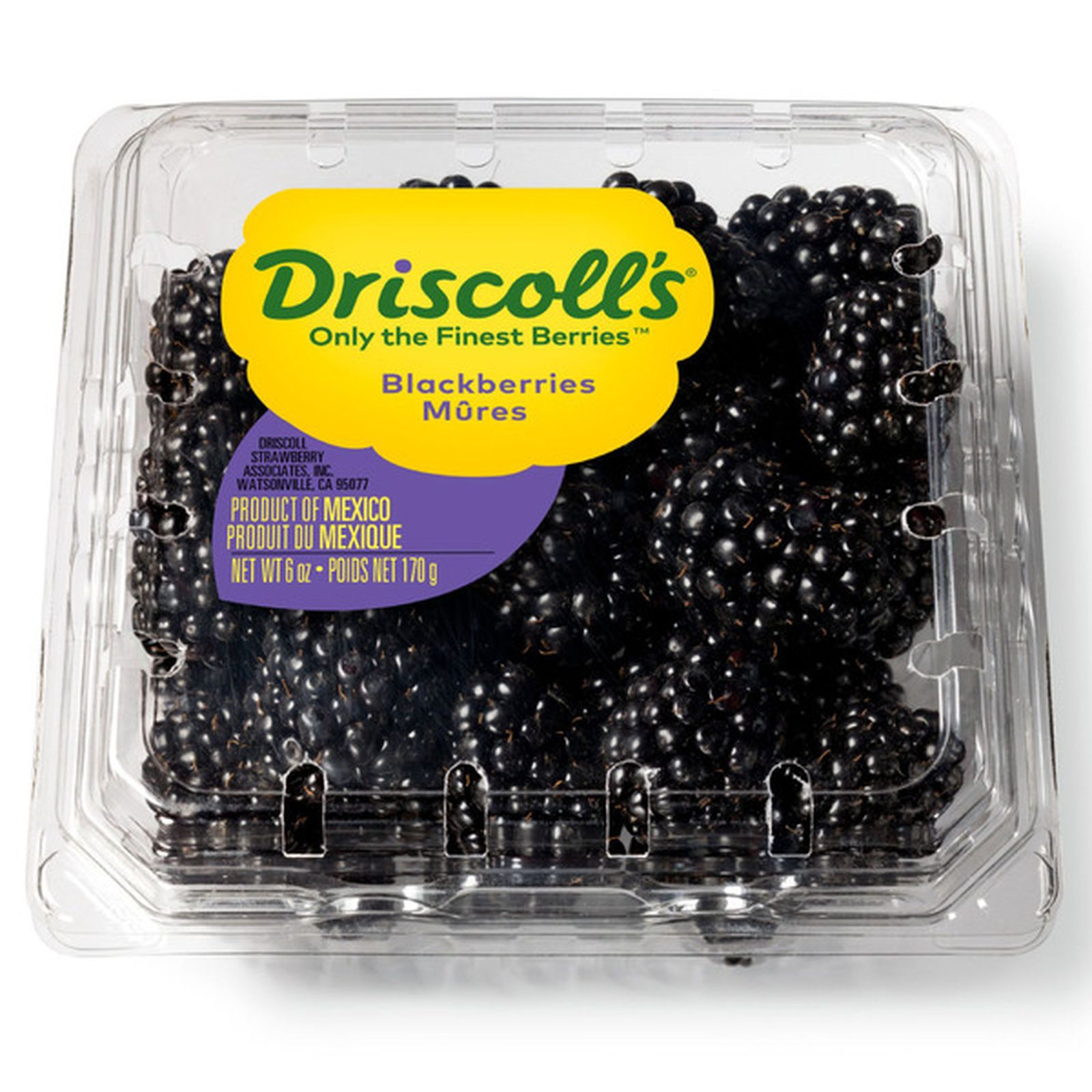fruitco-blackberries-150g-punnet-1-each