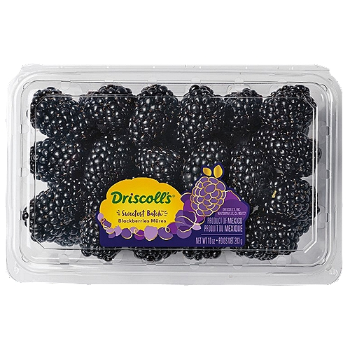 fruitco-blackberries-170g-punnet-1-each