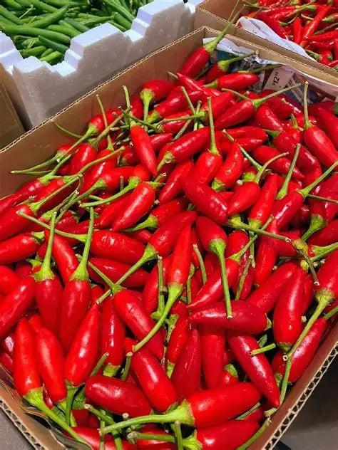 Fruitco Bullet Chilli Box 7Kilo