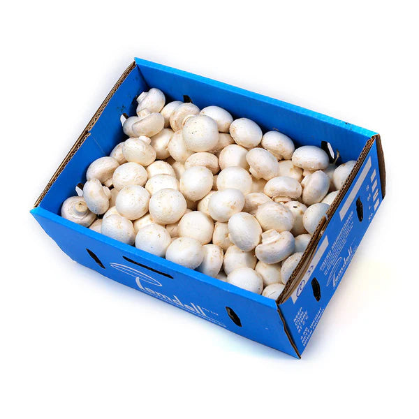 Fruitco Button Mushroom Box 4Kilo