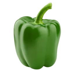 Tomatoes, Capsicum & Mushrooms