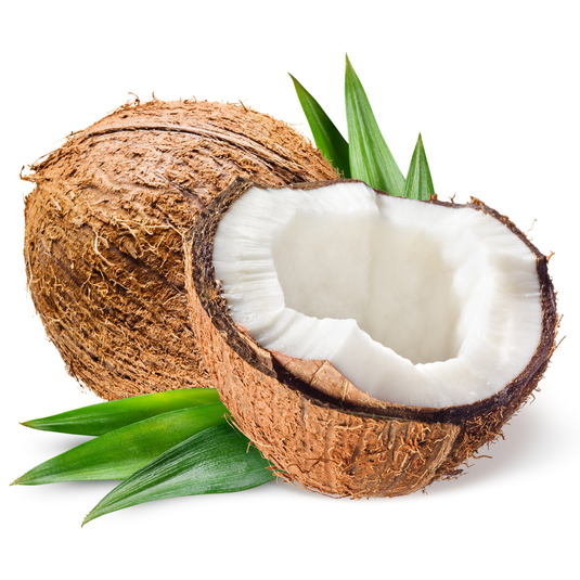 fruitco-coconut-1-each