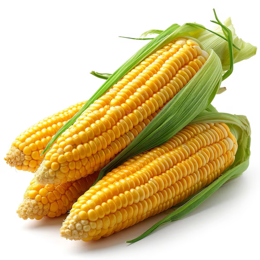 fruitco-corn-1-each