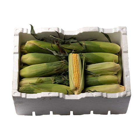 Fruitco Corn Box 25-30 Pieces