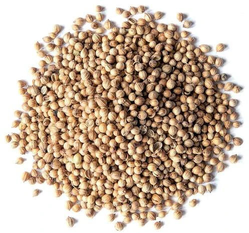 Fruitco Corriander Seeds