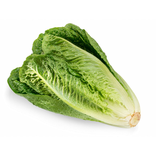 fruitco-cos-lettuce-1-each