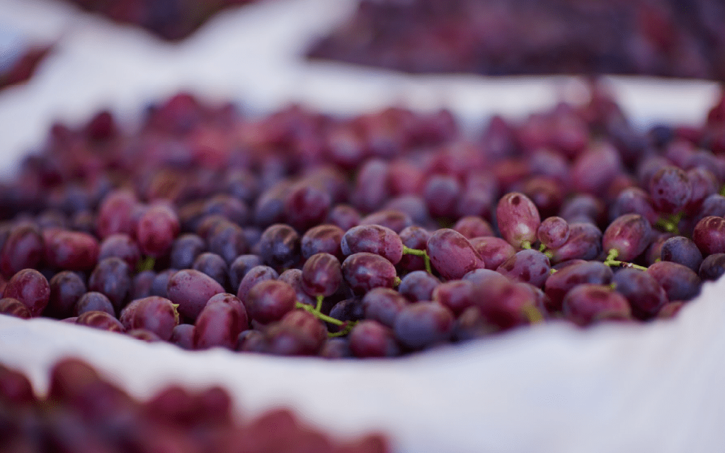 Fruitco Crimson Grapes (Seedless) Box 10Kilo