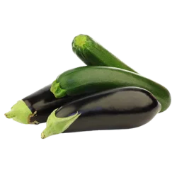 Cucumber, Zucchini & Eggplant