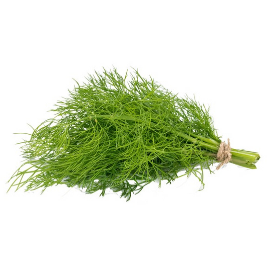 fruitco-dill-1-bunch