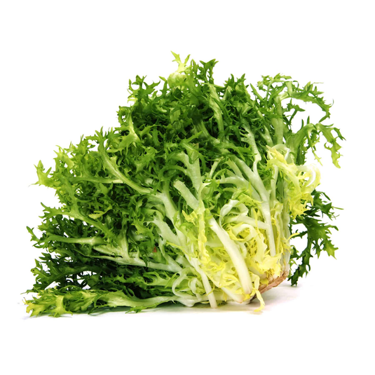 fruitco-endive-1-bunch