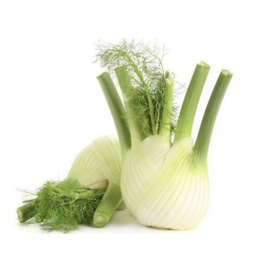 fruitco-fennel-1-bunch