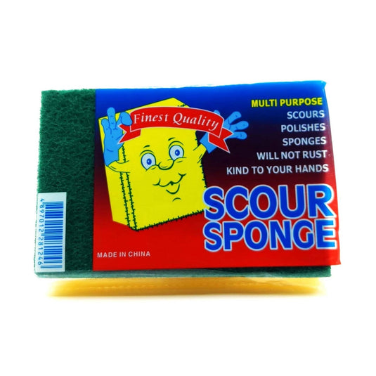 fruitco-finest-quality-scour-sponge-large-1-each