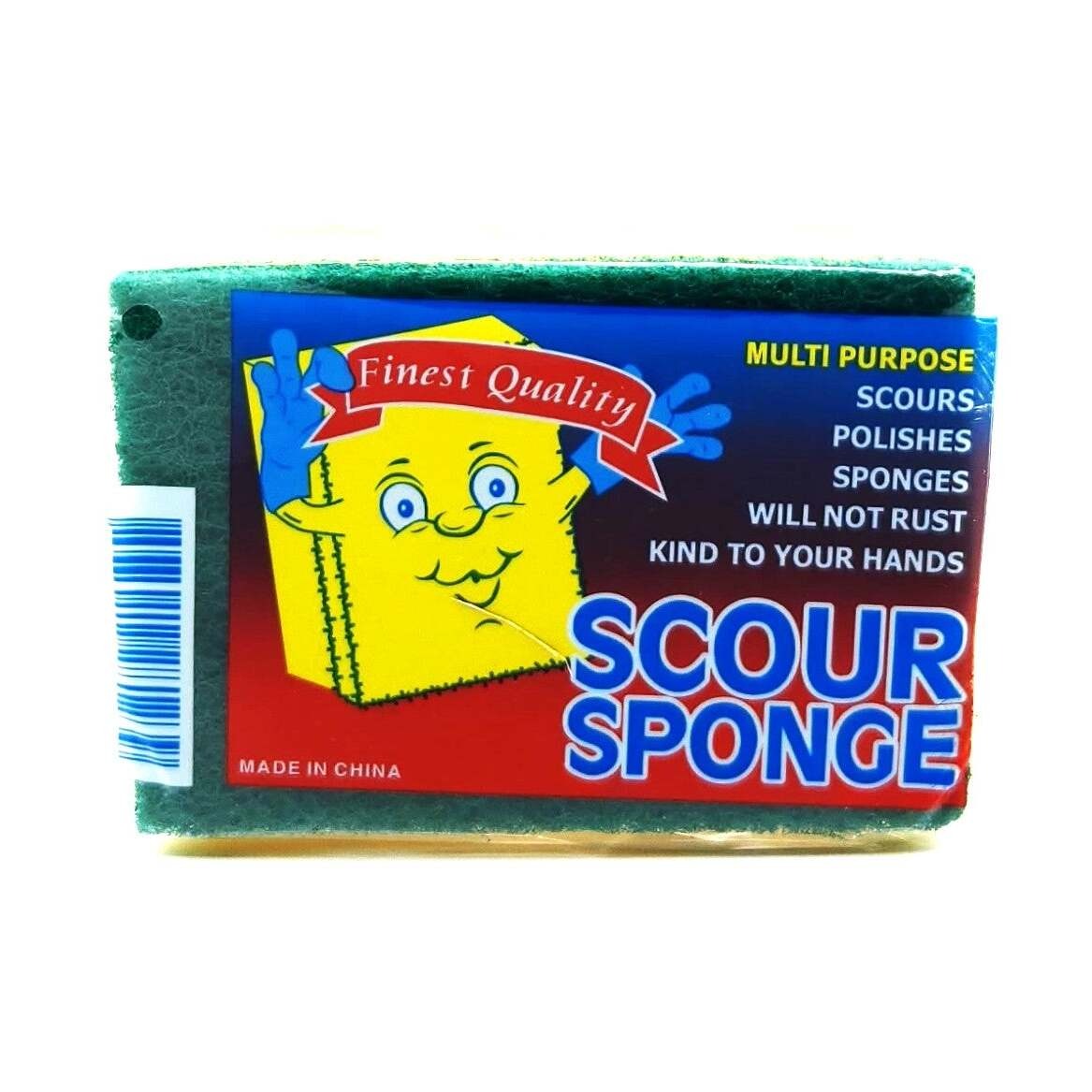fruitco-finest-quality-scour-sponge-small-1-each
