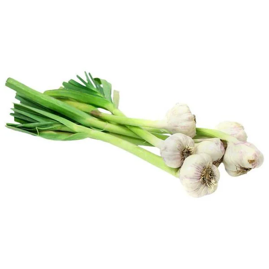 fruitco-fresh-garlic-1-bunch