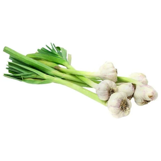 fruitco-fresh-garlic-1-bunch