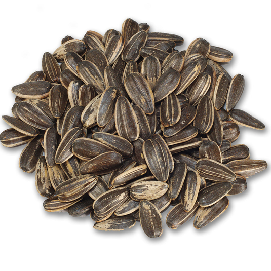 fruitco-unsalted-sunflower-seeds